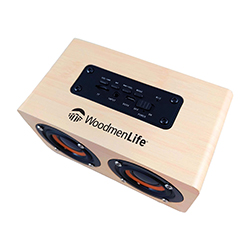 DOUBLE DIP WIRELESS SPEAKER